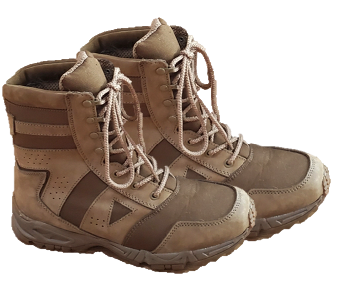 AR 670 1 Coyote Forced Entry Tactical Boot